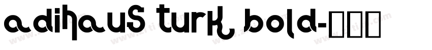 AdiHaus Turk Bold字体转换